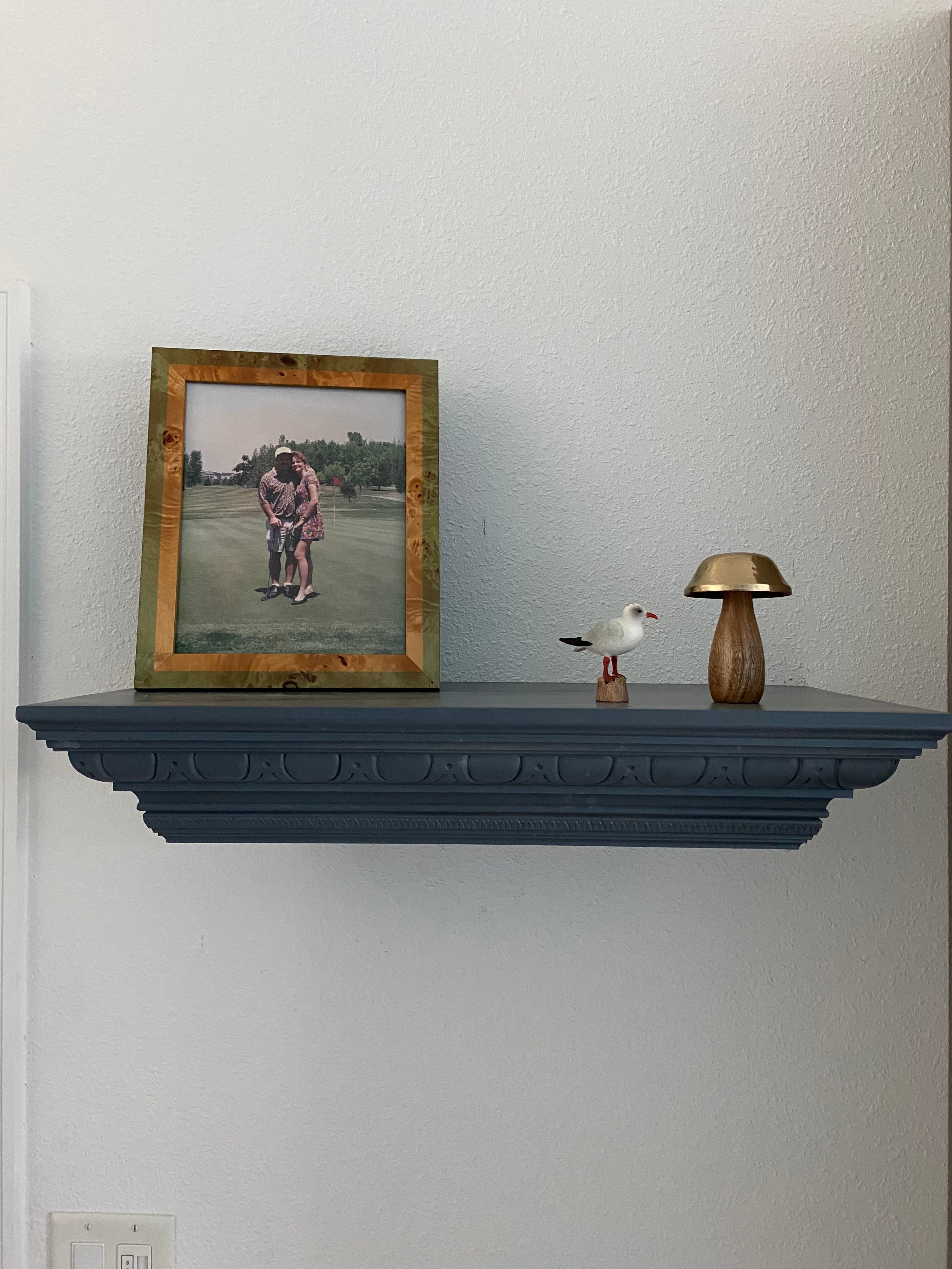 Floating Shelf Concealment Multi Usage
